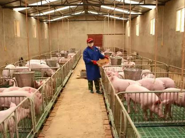 r(nng)B(yng)ֳiF(xin)